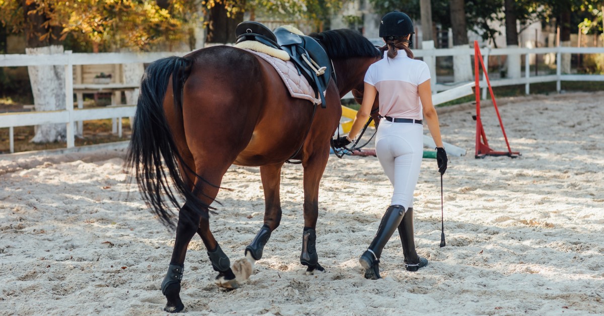 Tips For Showing Your Horse This Spring and Summer